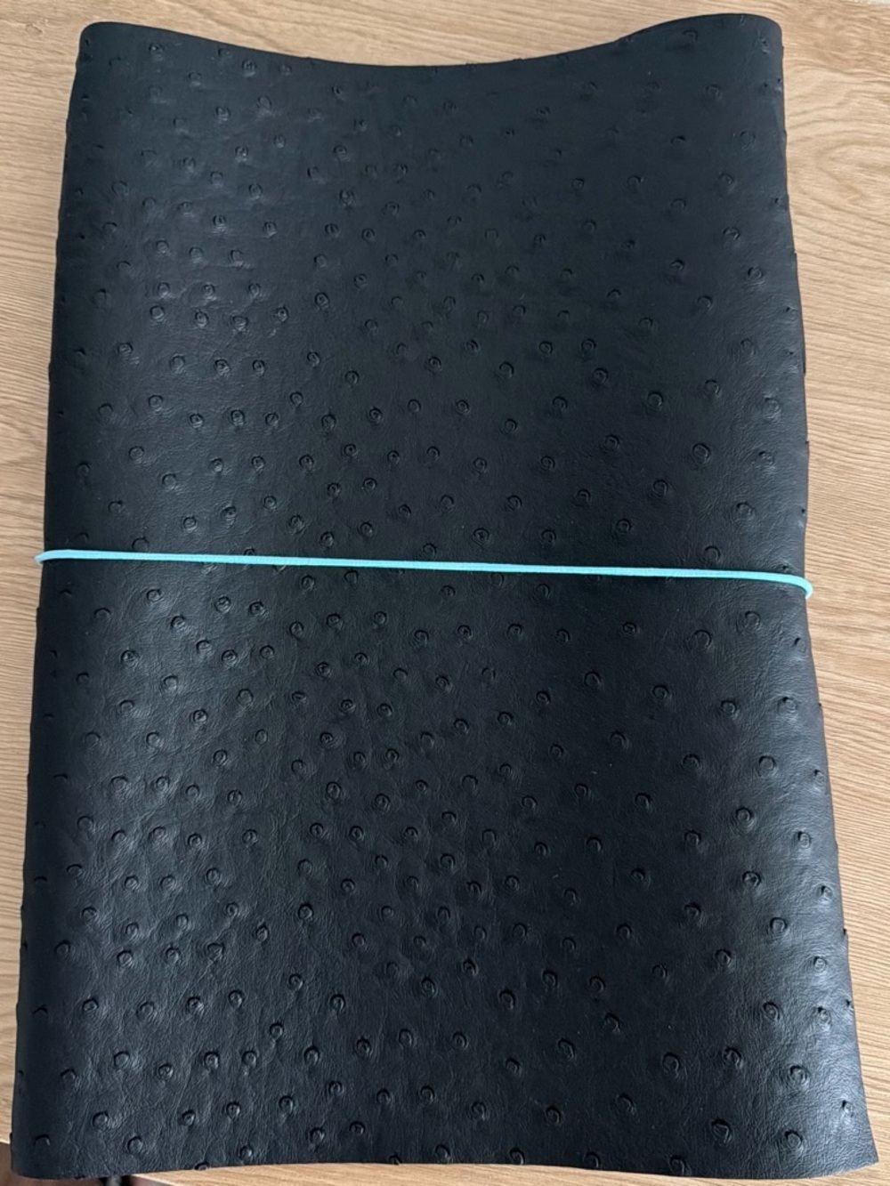 Black Faux Ostrich Journal Notebook with Teal Elastic Closure